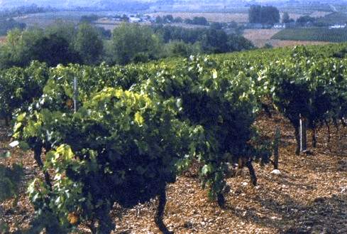 Loire_07